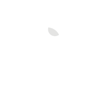 White Website Logo - Holly Stone Logo Final White Website. Holly Stone Hypnotherapy