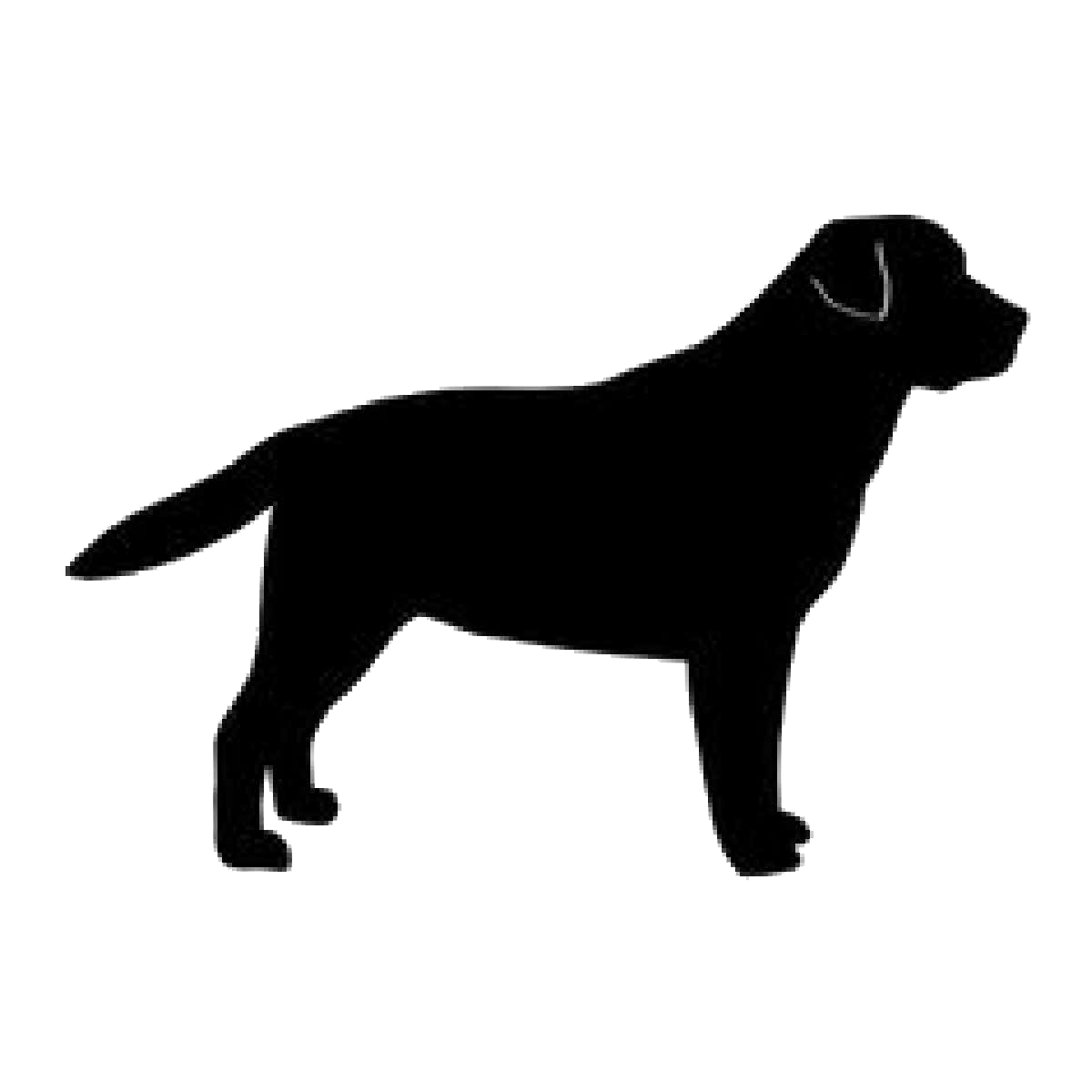 Black Dog Logo - BlackDog
