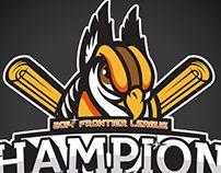 Schaumburg Boomers Logo - 2014 Schaumburg Boomers Pocket Schedule on Behance