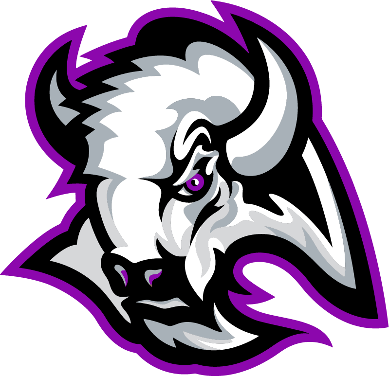 Bison Mascot Logo - 26 Best Bison-Buffaloes Logos images in 2019 | Buffalo logo, Bison ...