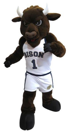Bison Mascot Logo - Catching Up With Gally, Gallaudet University's Bison Mascot