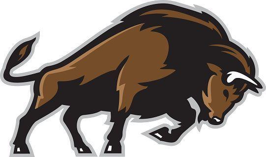 Bison Mascot Logo - Buffalo Amharic- 