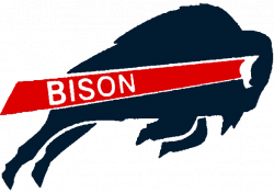 Bison Mascot Logo - 104 bison logo cliparts for your inspiration and presentations