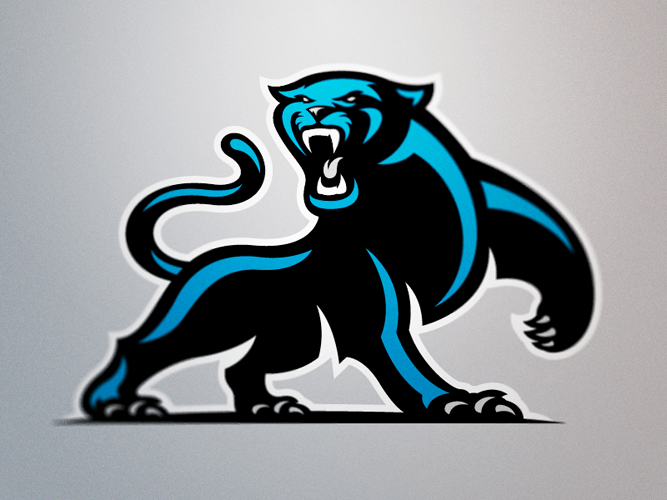 Carolina Panthers New Logo - CAROLINA PANTHERS NEW LOGO | The Carolina Panthers new logo is HERE ...