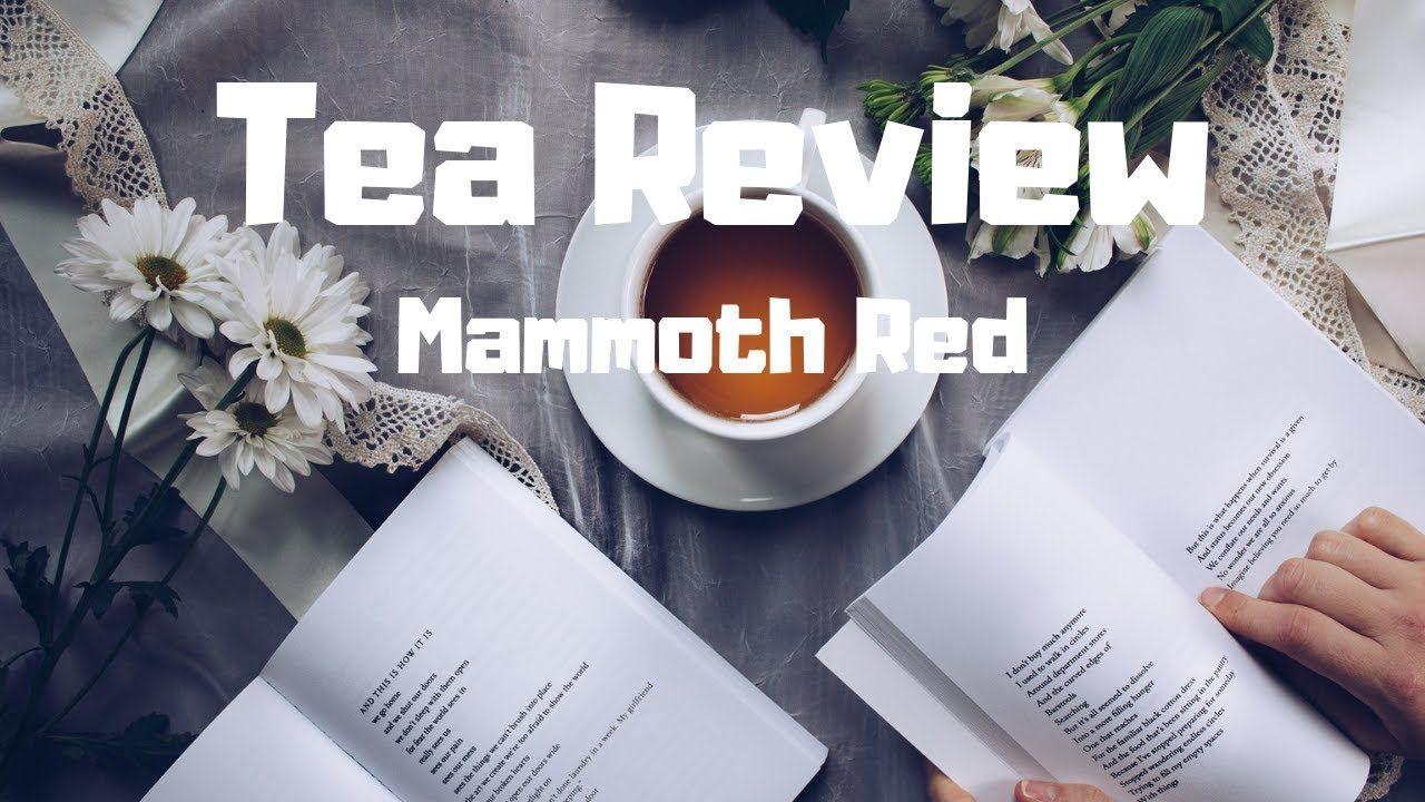 In a Red Circle Black Mammoth Logo - Tea Review - Mammoth Red - YouTube