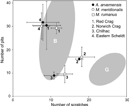 In a Red Circle Black Mammoth Logo - Bivariate plot of the average numbers of pits and scratches in ...