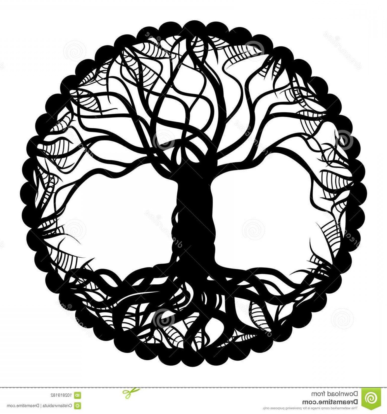 Black and White Tree in Circle Logo - Black White Tree Life Medallion Illustration Image | SOIDERGI