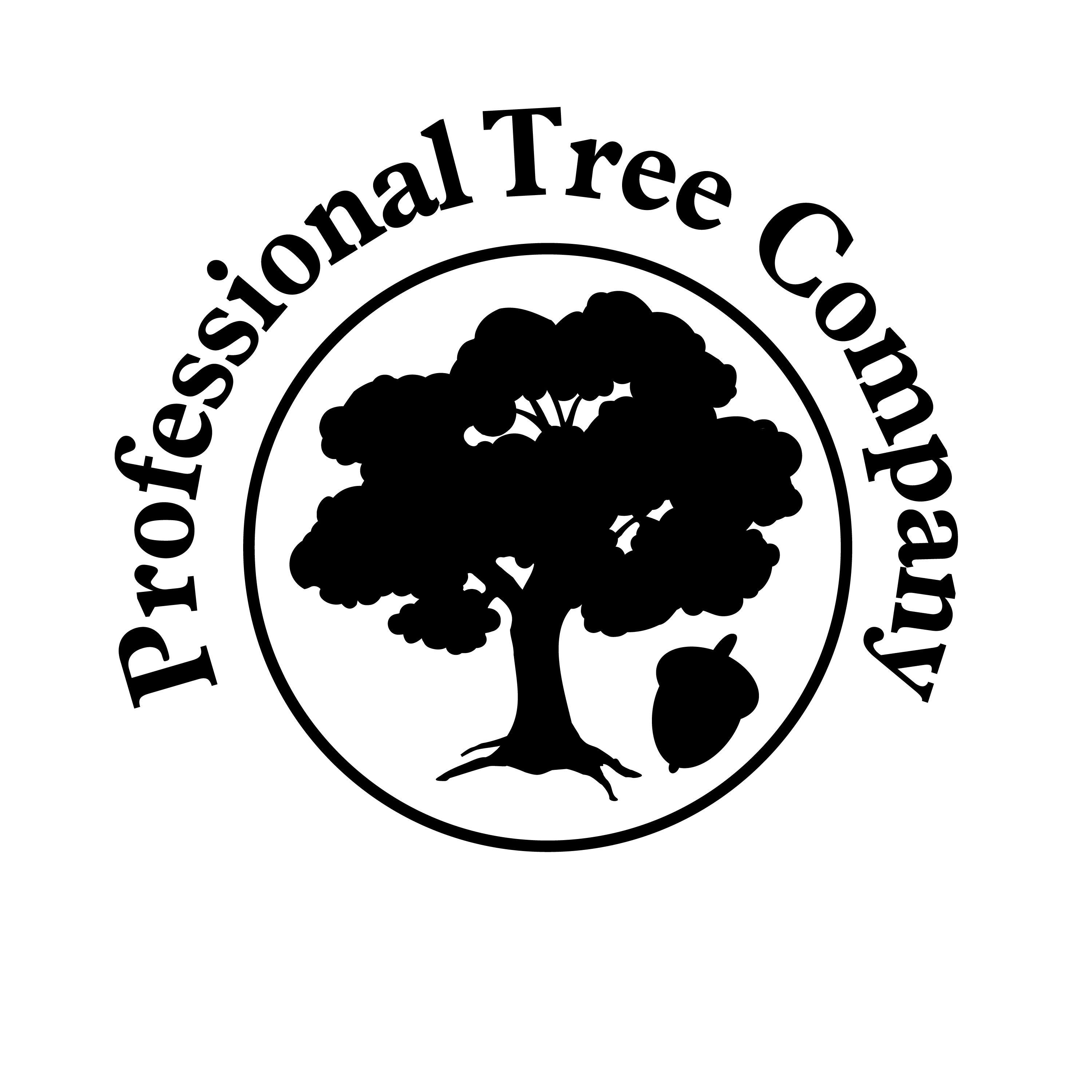 Black and White Tree in Circle Logo - Tree in circle Logos