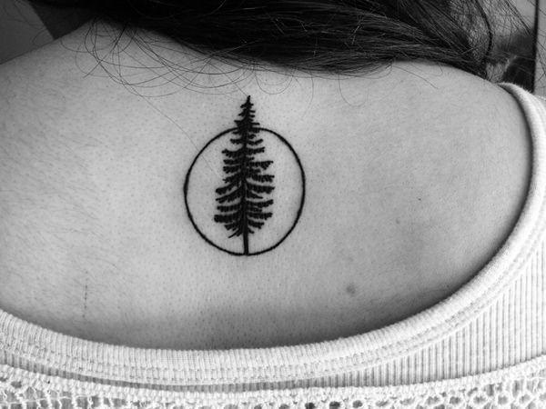 Black and White Tree in Circle Logo - Tree Tattoos That Can Paint Your Roots