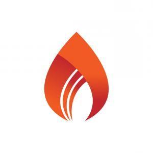 Abstract Fire Logo - Phoenix Fire Bird Logo Template