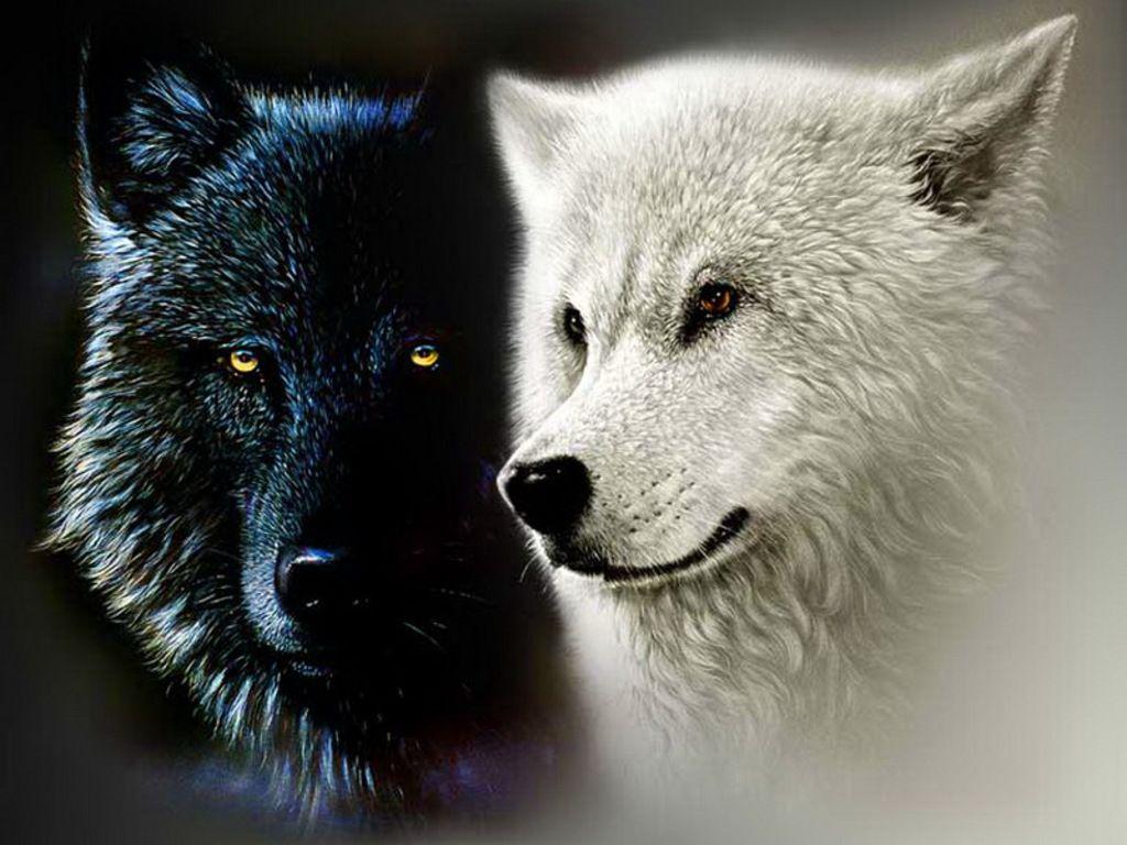 Black and White Wolves Logo - The Cherokee Legend of the Two Wolves for Depression | Therese Borchard