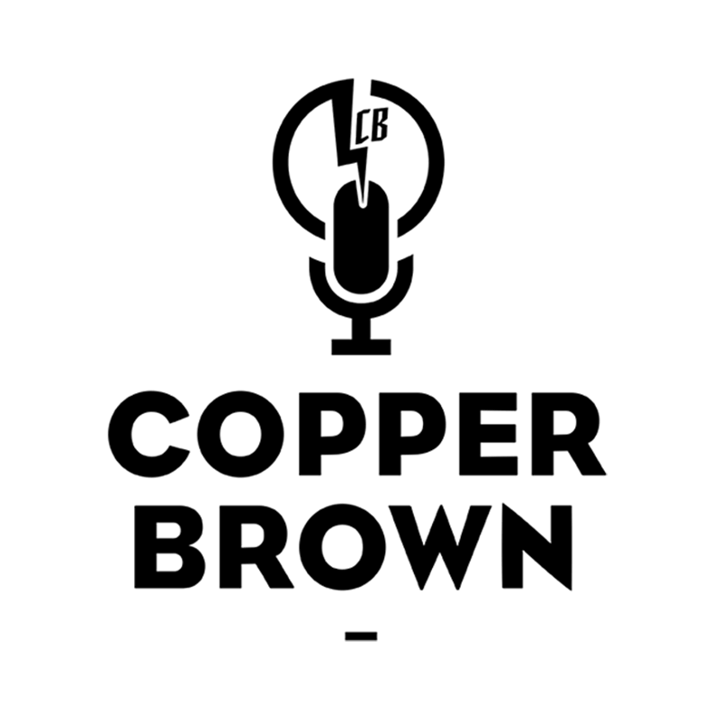 Copper Colored Logo - Copper Brown Case Study - Server & Network Solution | Dr Logic