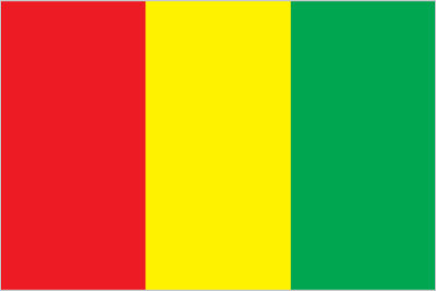 Yellow-Green Flag with Triangle Logo - Flags with descriptions