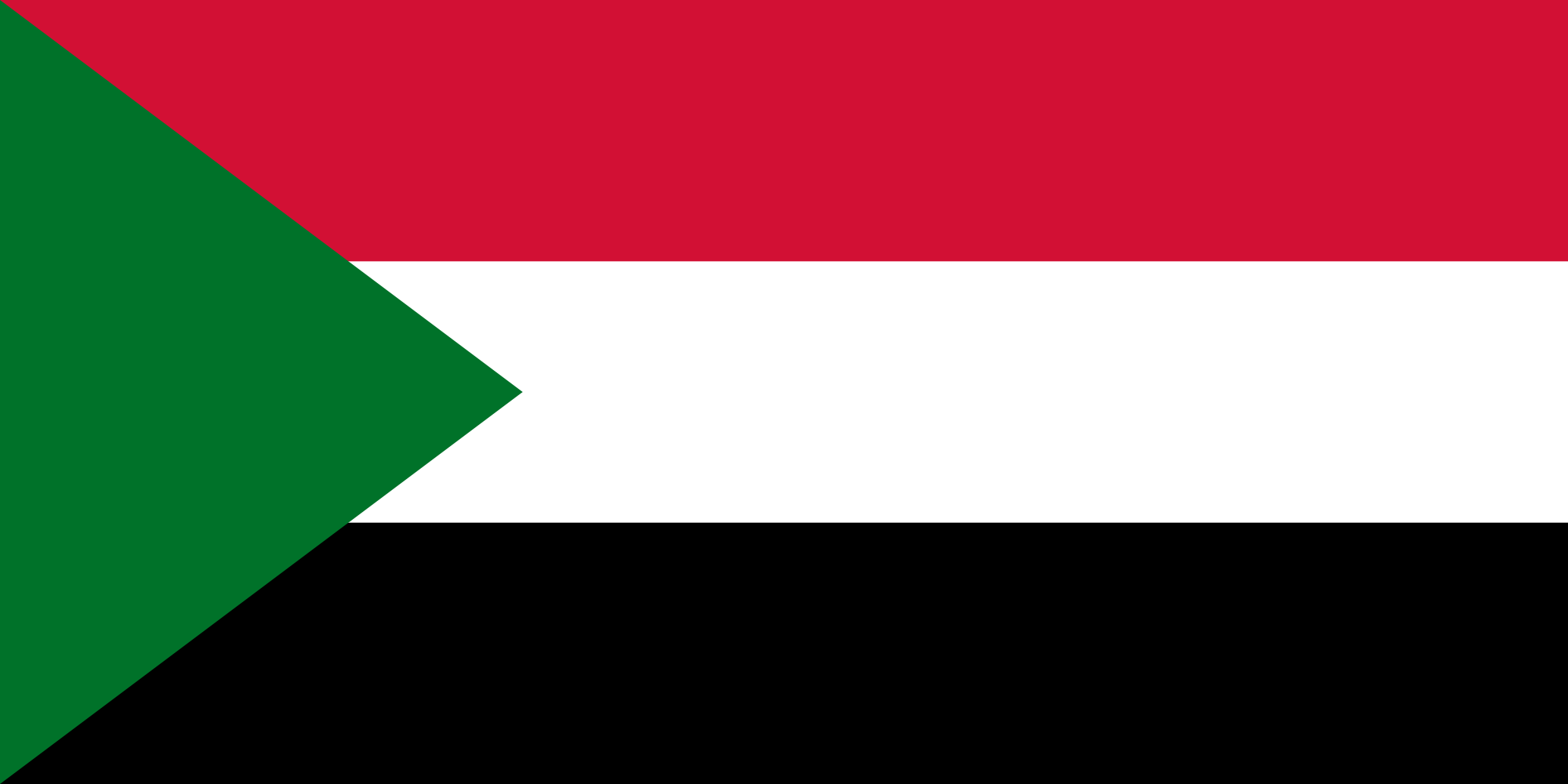 Yellow-Green Flag with Triangle Logo - Flag of Sudan