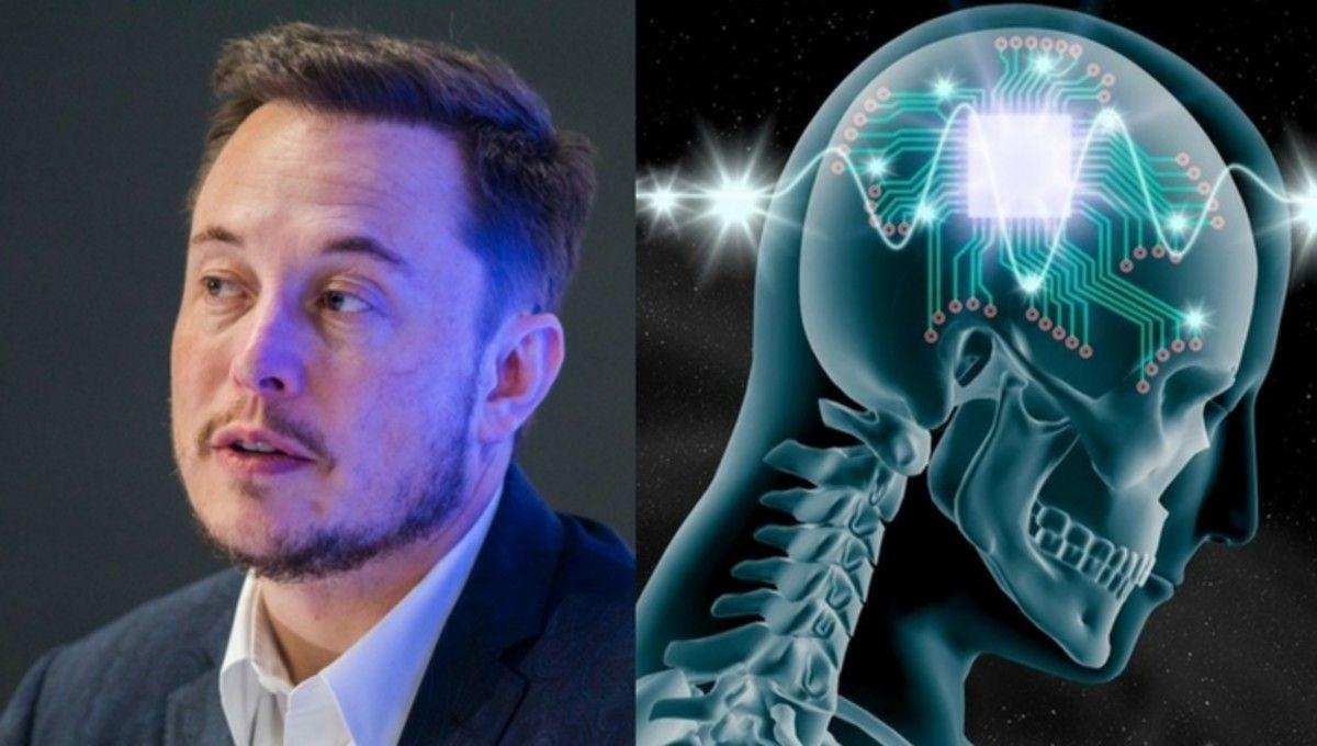 Neuralink Company Logo - Neuralink: the latest Elon Musk company | SYFY WIRE