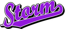 Purple Storm Logo - Team Pride: Storm team script logo