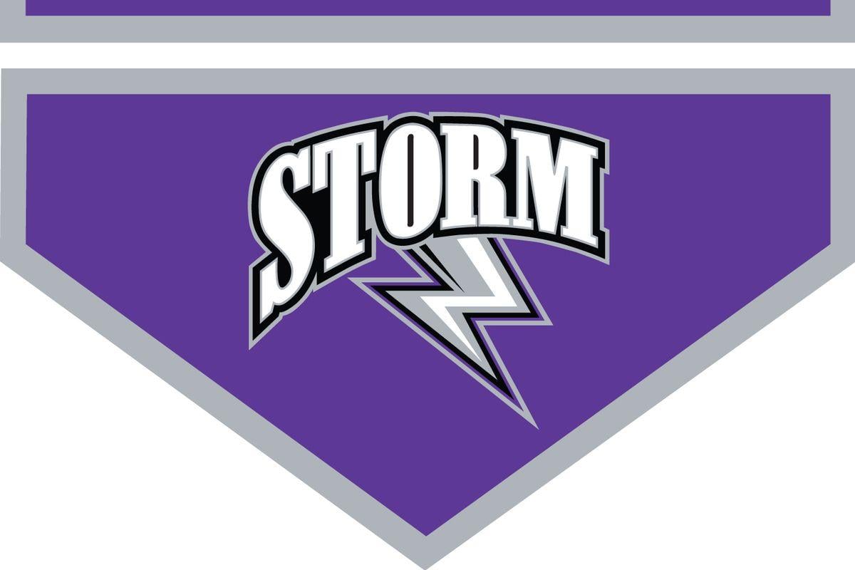 Purple Storm Logo - Michigan Tech Assistant Bill Muckalt Takes USHL Job Nation