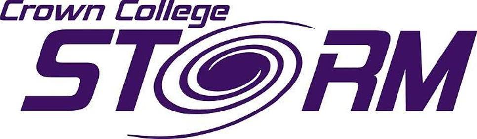 Purple Storm Logo - DigInPix