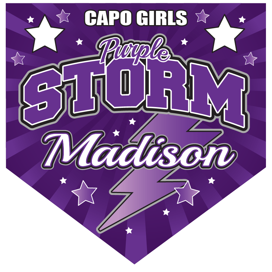 Purple Storm Logo - 16″ x 16″ Home Plate Pennant – Purple Storm – Blackline