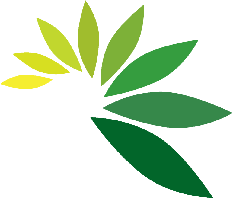 Leaf Transparent Logo - Logo leaves png 1 » PNG Image