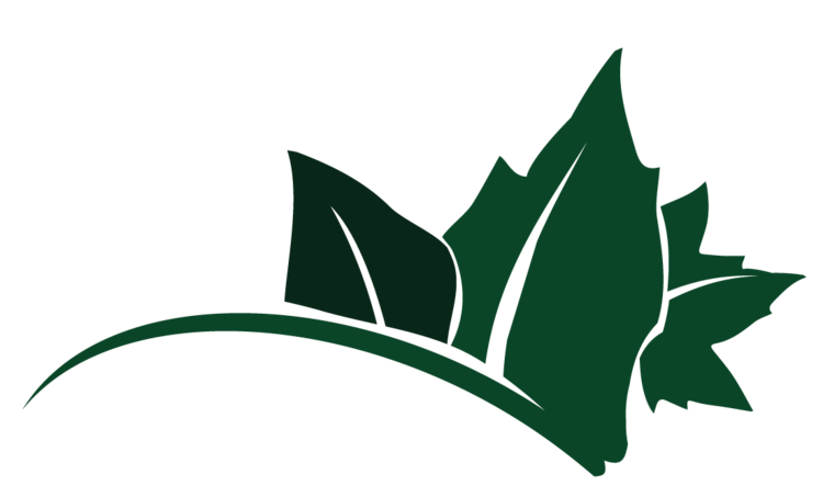 Leaf Transparent Logo - PNG Transparent Leaf Logo W/Out Text — A Friend Design LLC. Graphic ...