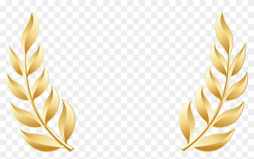Leaf Transparent Logo - Golden Laurel Leaves Transparent Image - Gold Laurel Leaves Logo ...