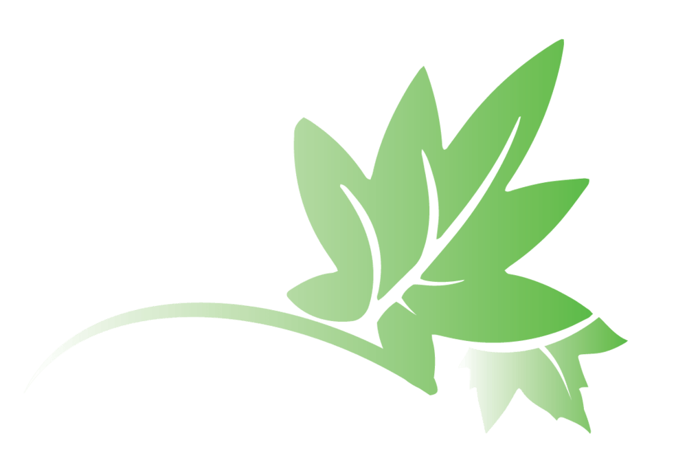 Leaf Transparent Logo - PNG File Transparent Gradient Leaf Logo W Out Text