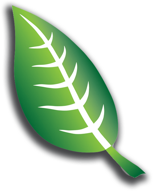 Leaf Transparent Logo - AFMTE Massage Organization