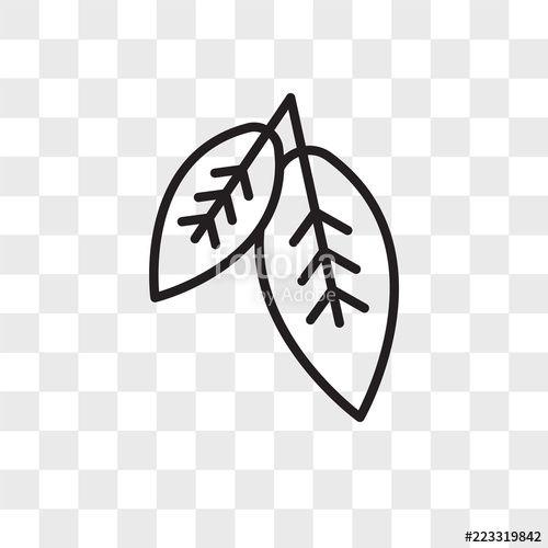 Leaf Transparent Logo - Leaf vector icon isolated on transparent background, Leaf logo