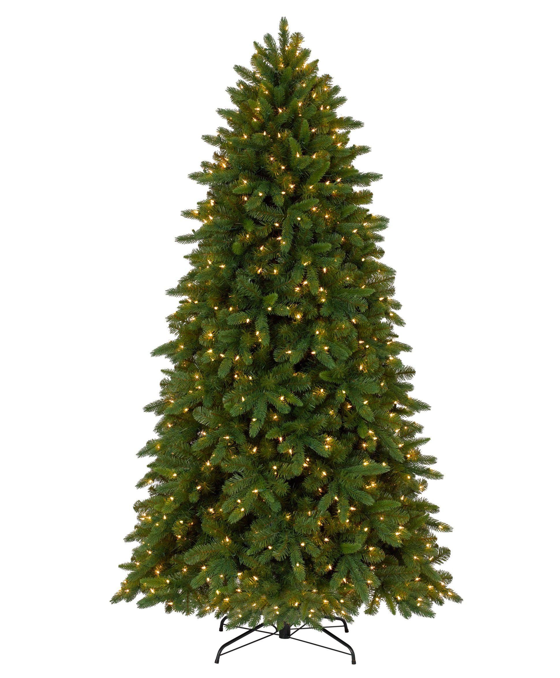 Christmas Pine Tree Logo - Classic Fraser Fir Christmas Tree | Tree Classics
