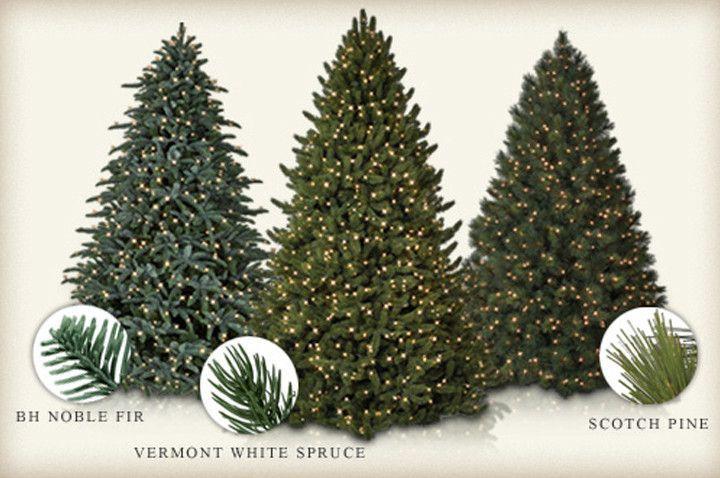 Christmas Pine Tree Logo - Traditional vs. Realistic Christmas Tree | Balsam Hill