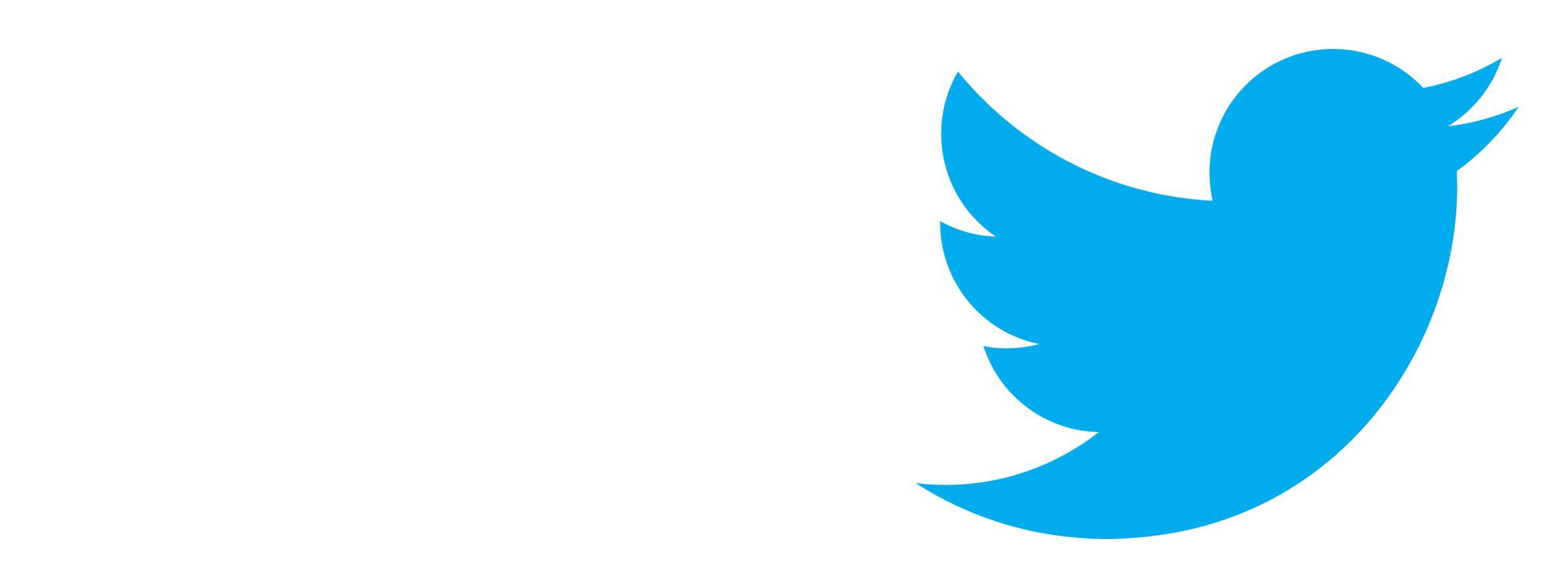 Blue Twitter Logo - Twitter Logos