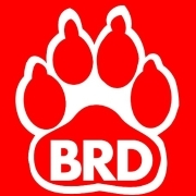 Big Red Dog Logo - BIG RED DOG Engineering and Consulting Houston Office. Glassdoor.co.in