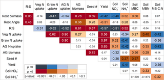 Aridic Looking Red Logo - Root traits and root biomass allocation impact how wheat genotypes