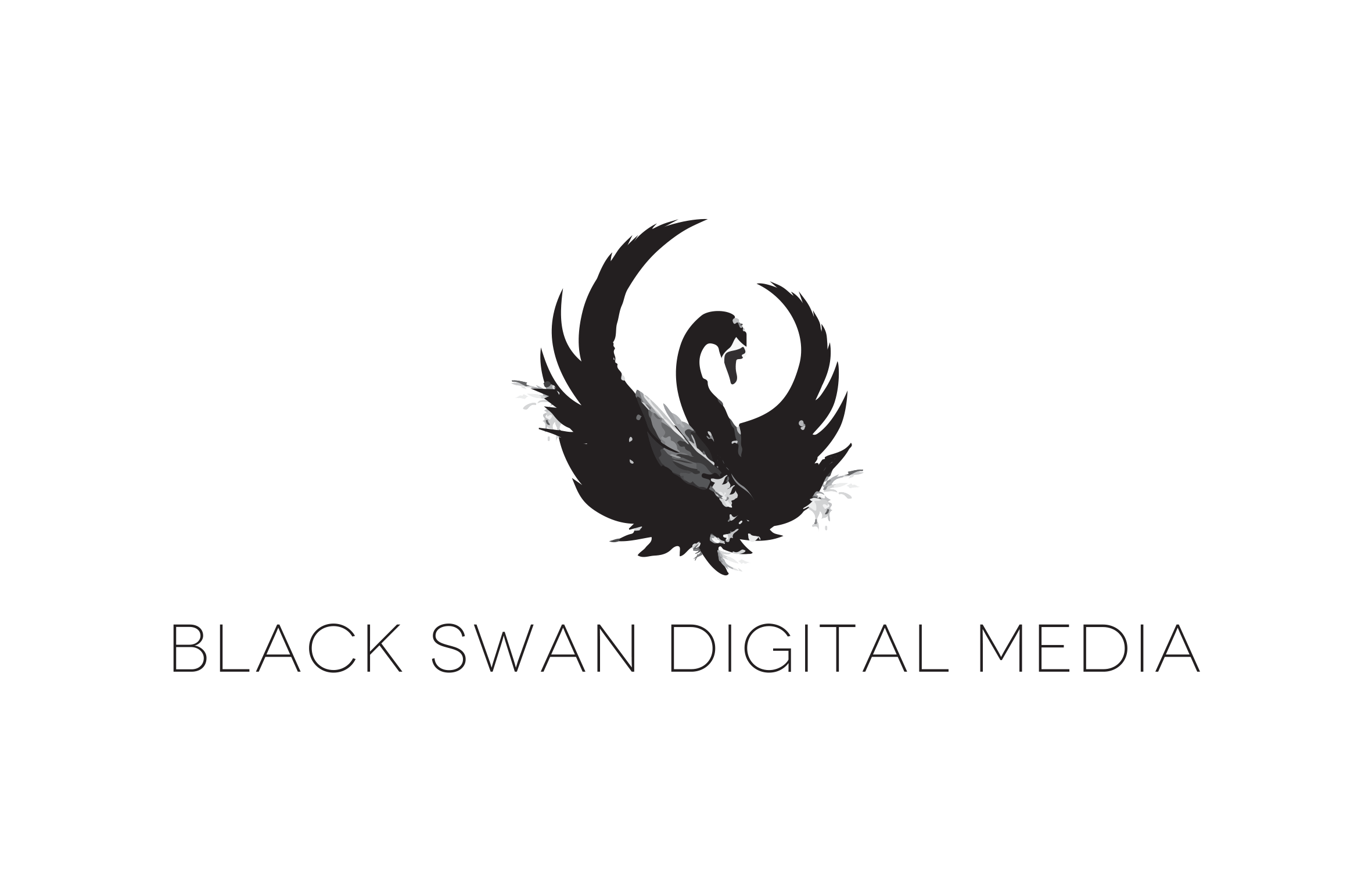 Black Swan Company Logo - Black Swan Digital Media Production Company