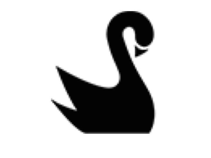 Black Swan Company Logo - Black Swan Data Reviews, Careers, and Jobs