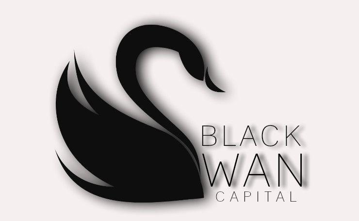 Black Swan Company Logo - Entry #77 by Nipibe for Design a Company Logo | Freelancer