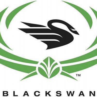 Black Swan Company Logo - Black Swan Racing