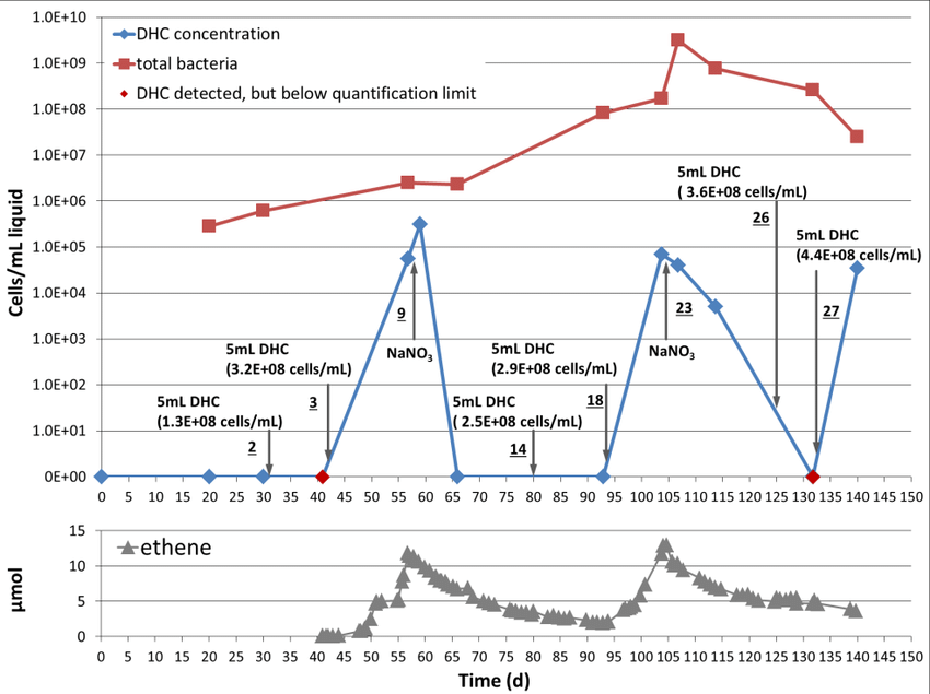 Liquid Blue and Red Square Logo - 5 Change of DHC (blue or red diamond) and total bacteria (red square ...