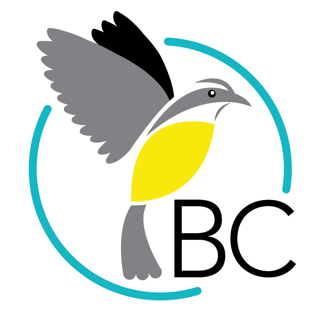 Bird in Square Logo - Media Resources – BirdsCaribbean