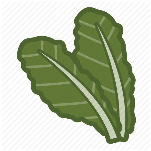 Kale Leaf Logo - Kale, leaf, salad, vegan, vegetable icon