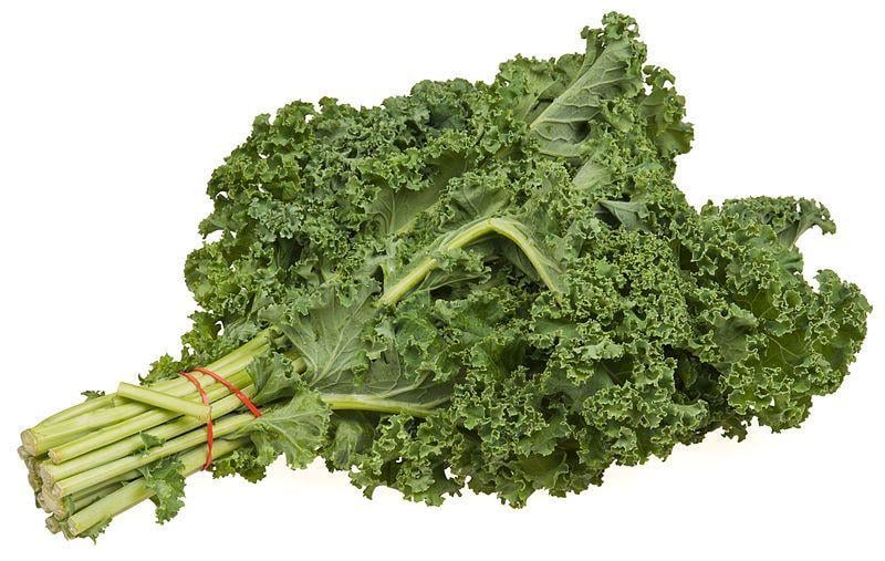 Kale Leaf Logo - Kale