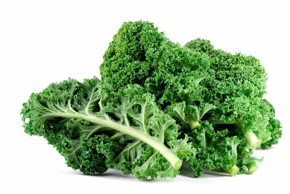 Kale Leaf Logo - Kale Leaves SPECIAL (2 For $2.99)