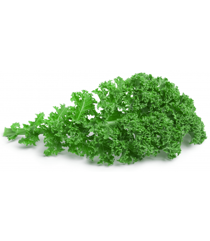 Kale Leaf Logo - Kale Powder - Organic - Z Natural Foods