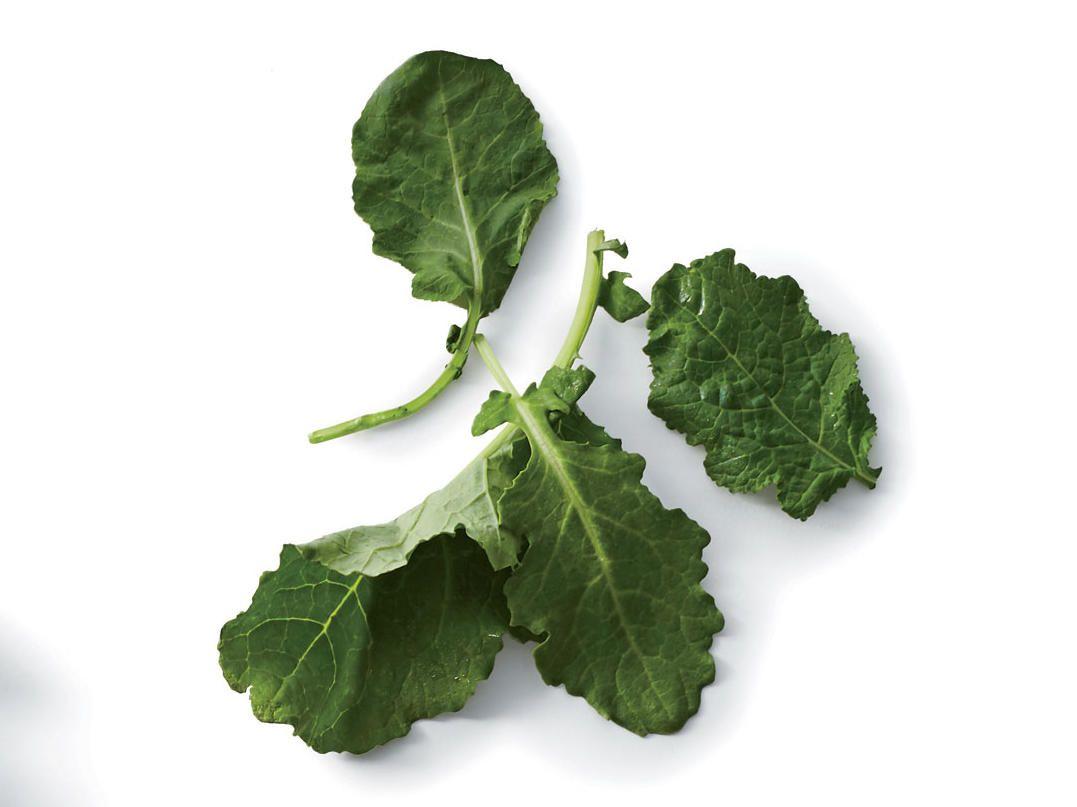Kale Leaf Logo - Types of Kale - Cooking Light