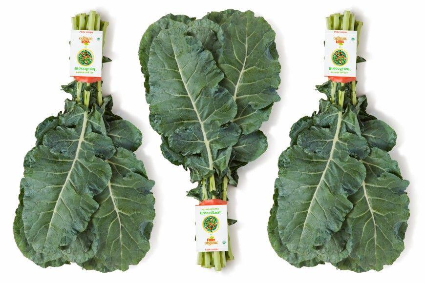 Kale Leaf Logo - Why broccoli leaves may be the next kale