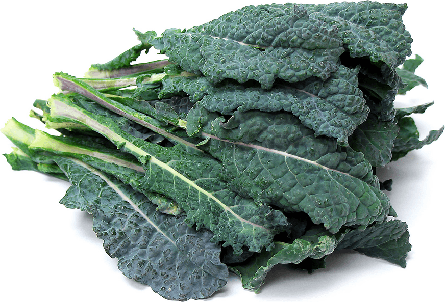 Kale Leaf Logo - Black Kale Information, Recipes and Facts