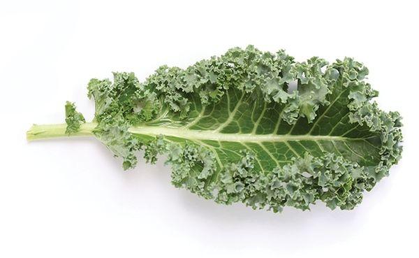Kale Leaf Logo - Smoothies and Juices - Jugo Juice