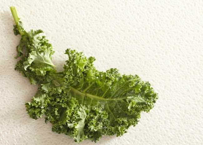 Kale Leaf Logo - All About Kale: How and Why You Should Eat Kale | Allrecipes
