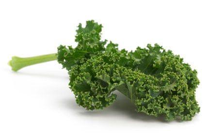 Kale Leaf Logo - Kale: the hottest vegetable this season | Life and style | The Guardian
